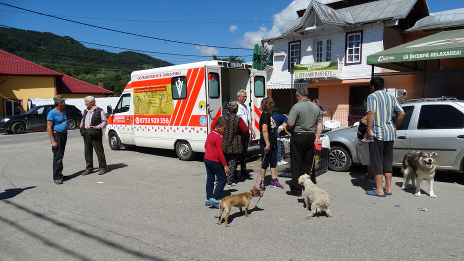 Bürger warten mit Hunden vor Kastrationsmobil