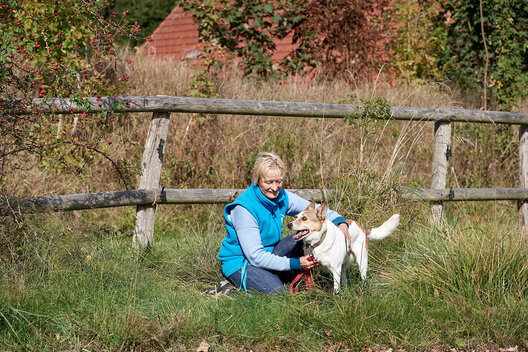 Mensch und Hund gemeinsam auf einer - von einem Holzzaun umgebenen - Wiese