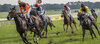 Pferde mit Jockeys bei einem Galopprennen in Köln
