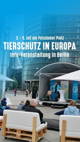 Tag 1 unserer interaktiven Info-Veranstaltung zum Thema Tierschutz in Europa mit Project 1882 am Potsdamer Platz in...